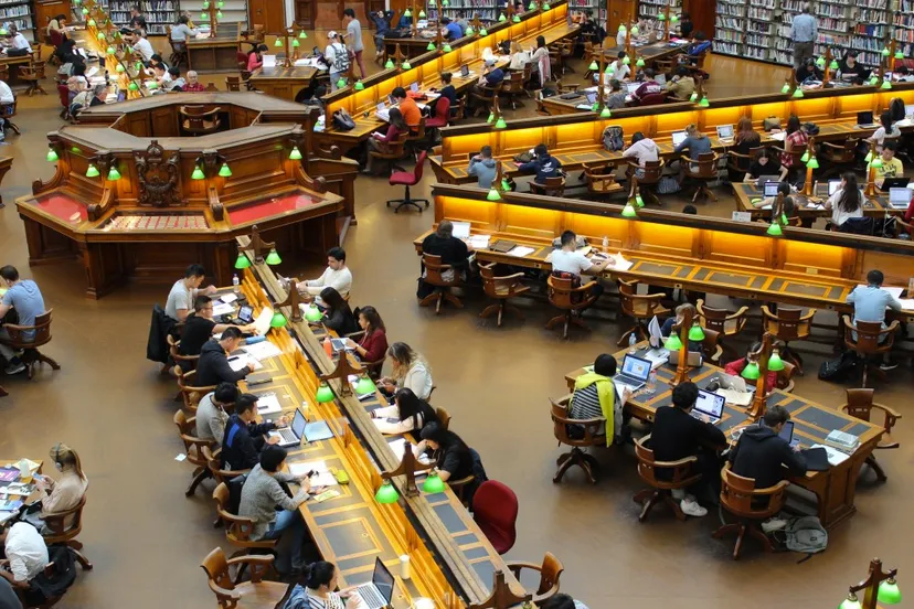 studenten studeren in bibliotheek cc0 pixabay