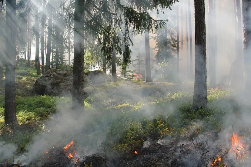 styggkarret 433688 1280 bosbrand cc0 pixabay