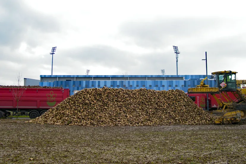 suikerbietencampagne 00