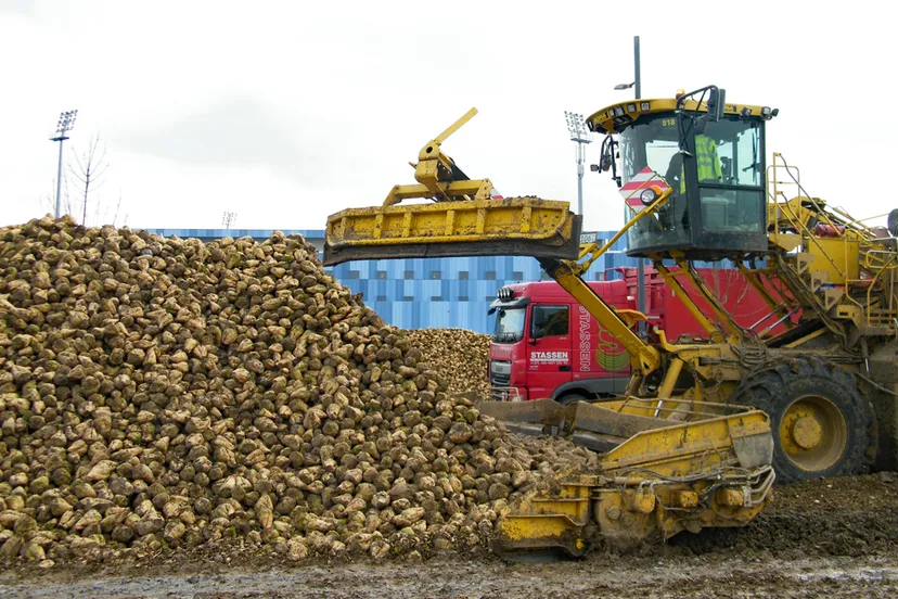 suikerbietencampagne 02