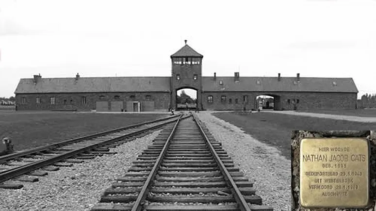 sx6msl89dxltxp9j60jywoc4q auschwitz stolperstein