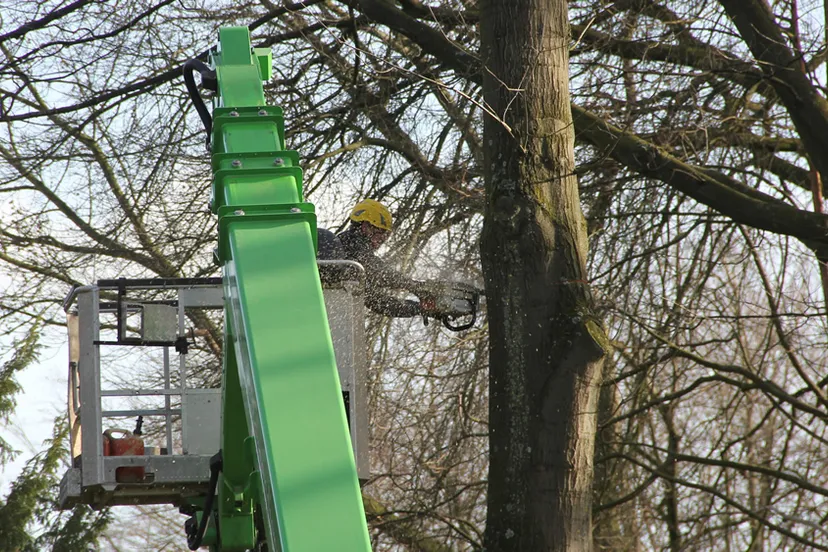 sxxuwg3kbwlpn6lmxmxlmaj1x beatrixlaan geleen 2