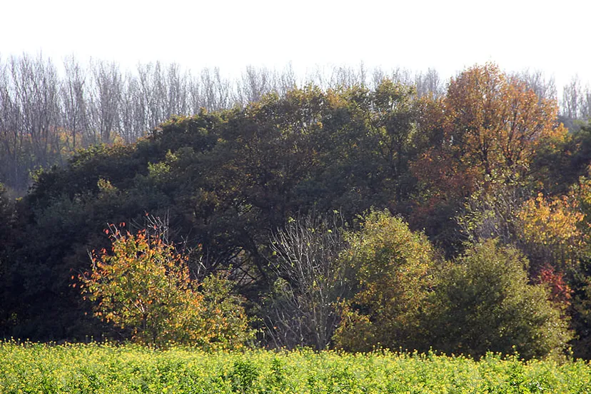 t31c9z392ymnnsvq0u4wj4nck mooie 2e november 2014 kollenberg tomel