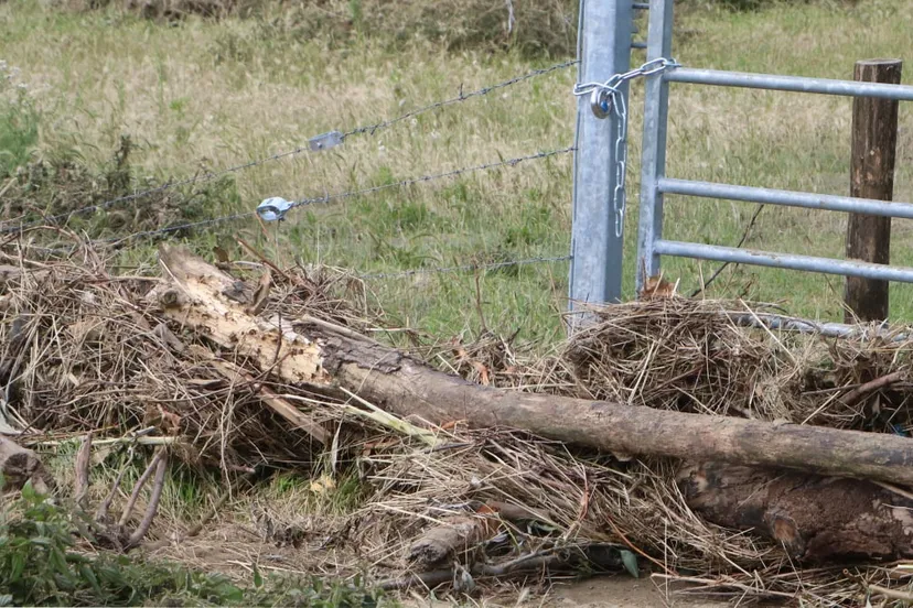 takken en andere drijfafval