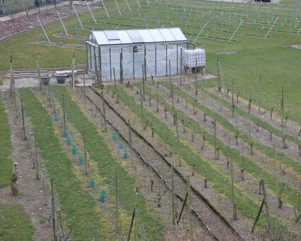 tc9l3lzrj2uwnkh9s140ou98h 225777