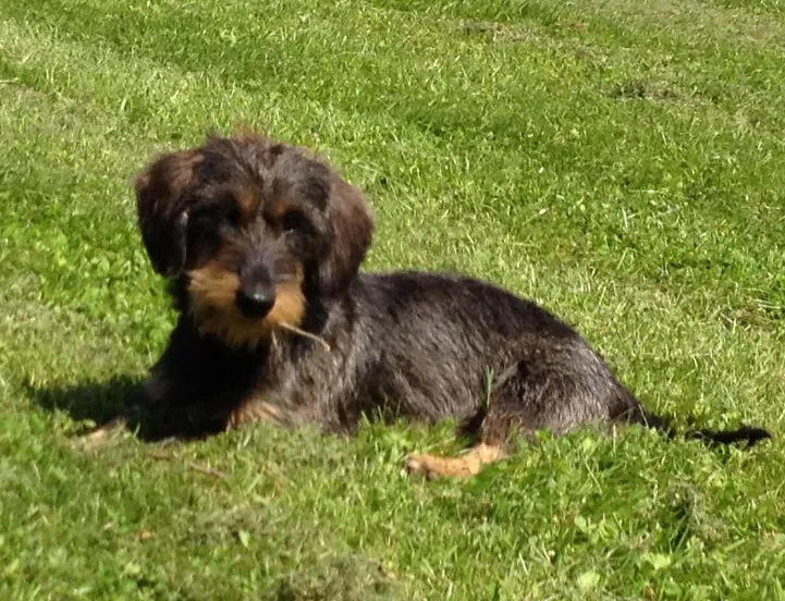 td0d5ags3z1h6w4o3ha4hoftd 181869