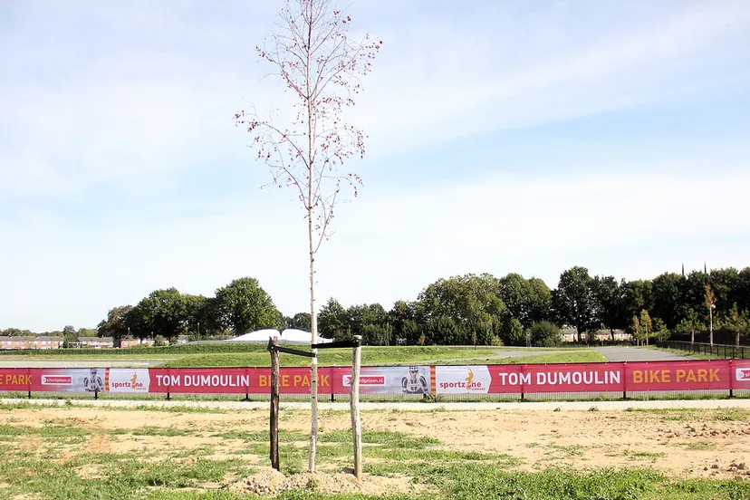 tdbp start aanleg verlichting