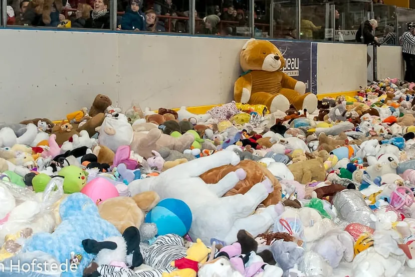 teddy bear toss 2016 1