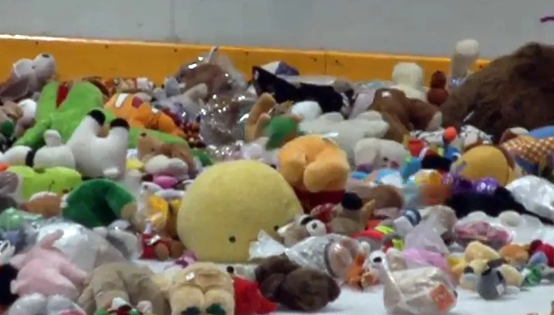 teddy bear toss