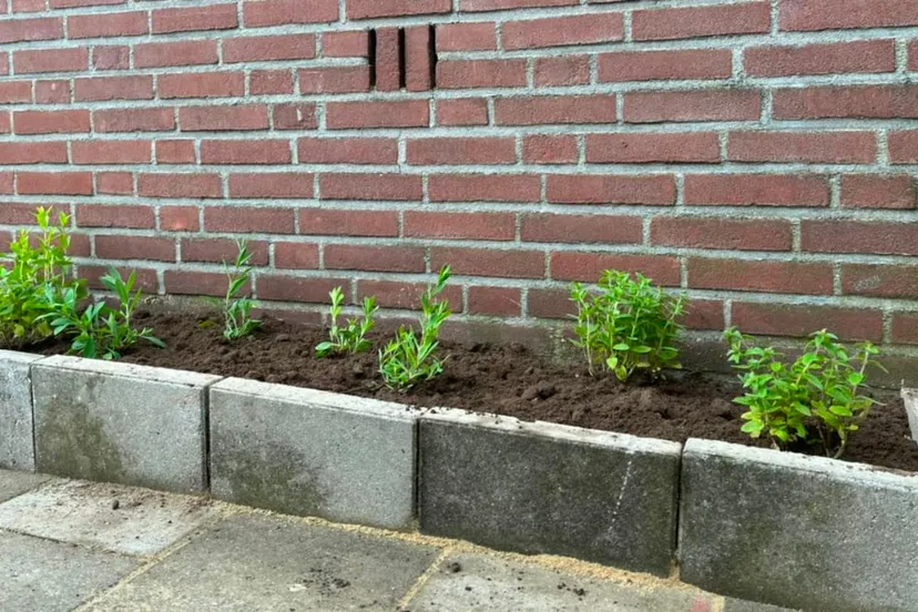 tegelwippen in sittard met geveltuintjes