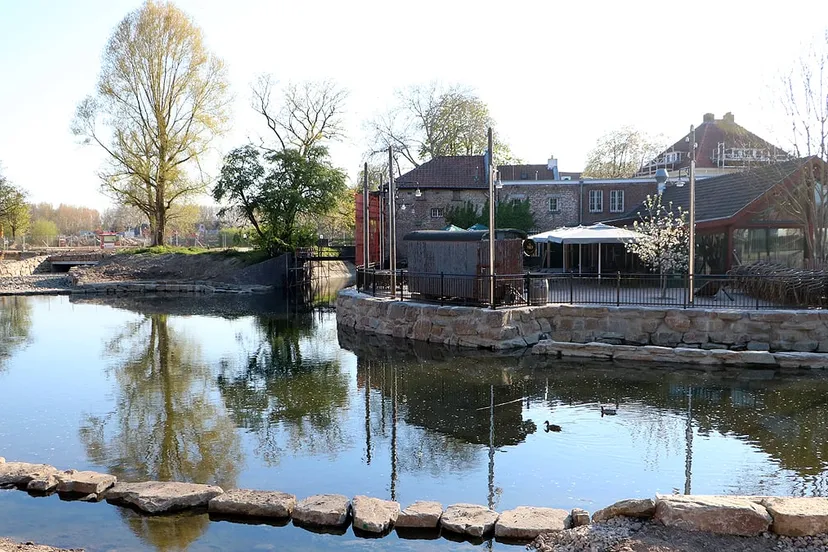 terras vief heringe 2