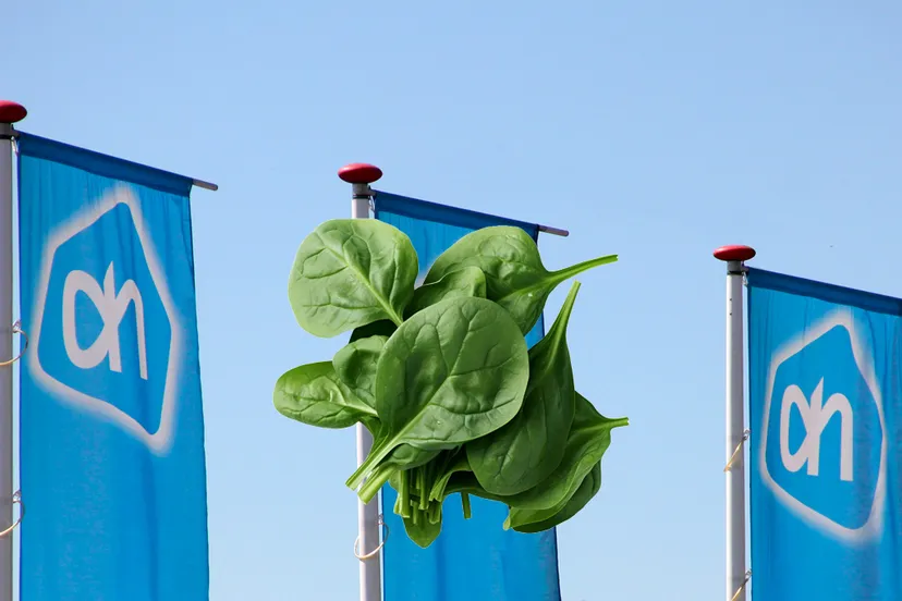 terugroepactie spinazie drie vlaggen ah albert heijn