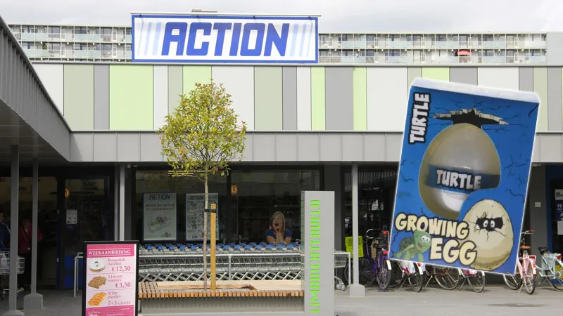 terugroepactie turtle egg action limbrichterveld sittard