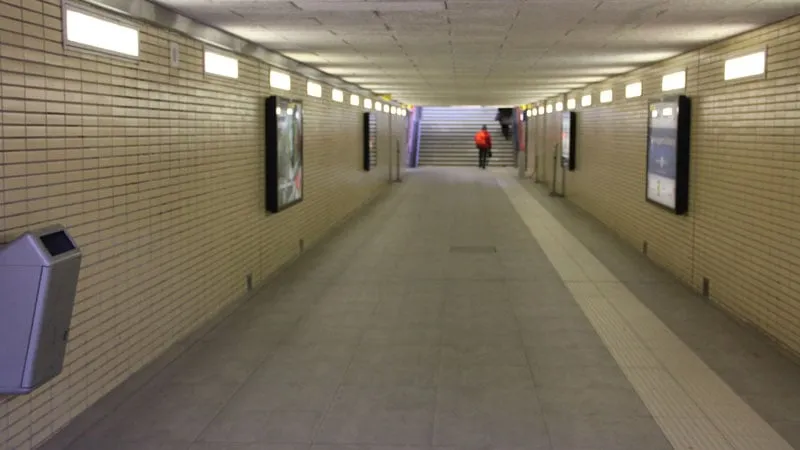 th0lgr1j8ox96jl4tpzl63h7m tunnel ns