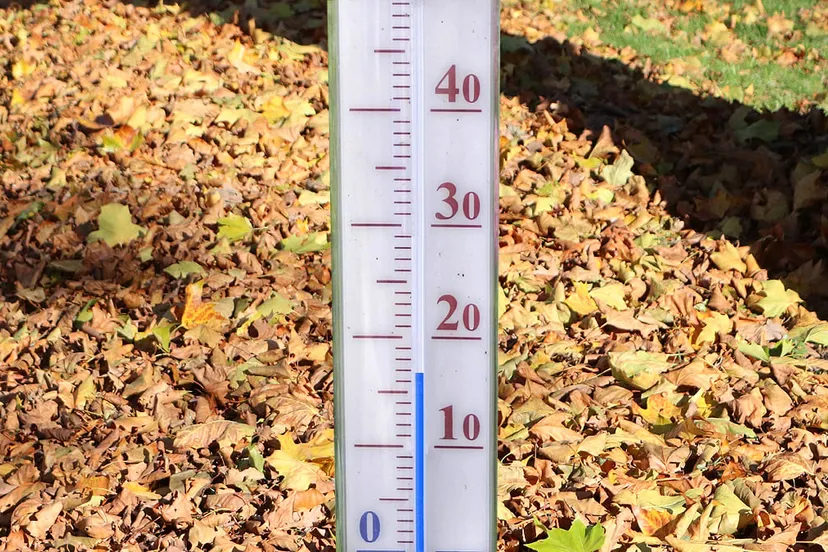 thermometer 167 graden herfst gevallen bladeren bladvegen