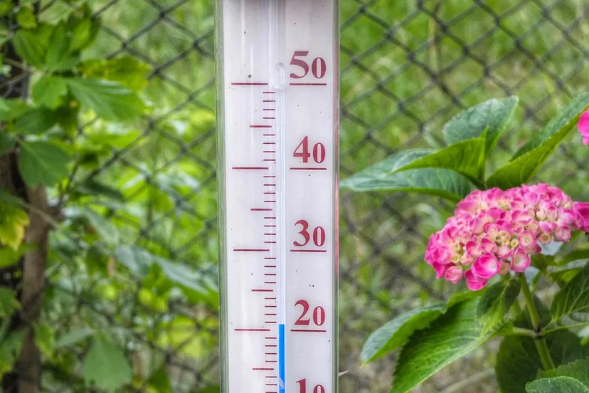 thermometer 209 graden