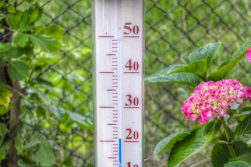 thermometer 21 graden cc0