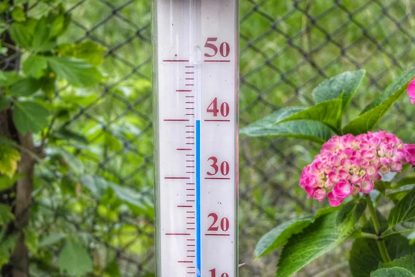 thermometer 40 graden extreem weer