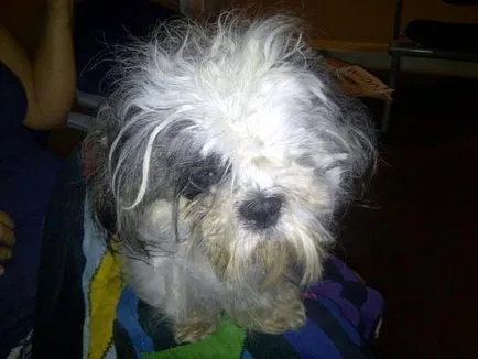 tig636lukyxhhwrnbcn5ljbsw 156794