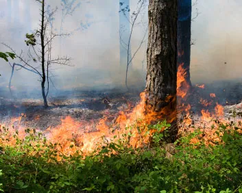 tkar2f0ssjzjwwyt3ilcpe1sm 167062