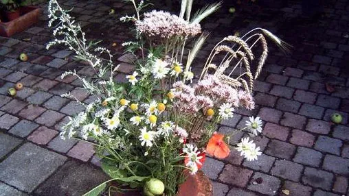 tkbt8pj3ygxfggpx1zu3n6ef8 kroedwosj