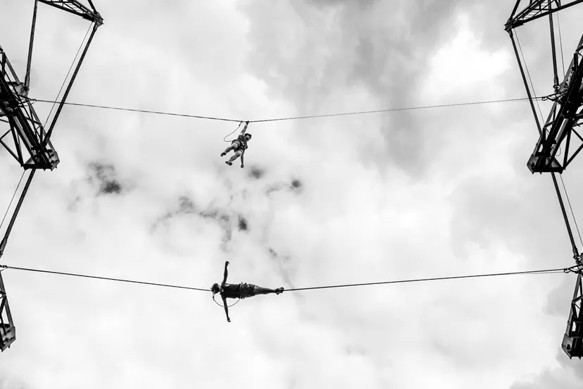 tom peek lepyruvate 0420 002