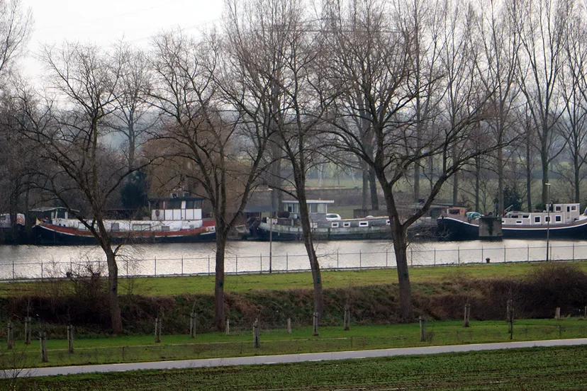 trierveld 29 december 2020 uitzicht op berghaven schipperskerk
