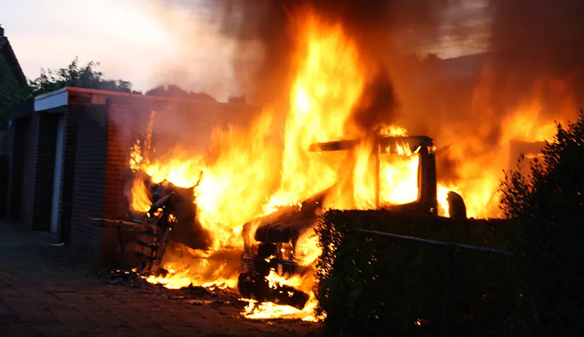 txjfe8tzs1k2qw5nxiugfy1m0 brand leliestraat sanderbout 1 krijntjes