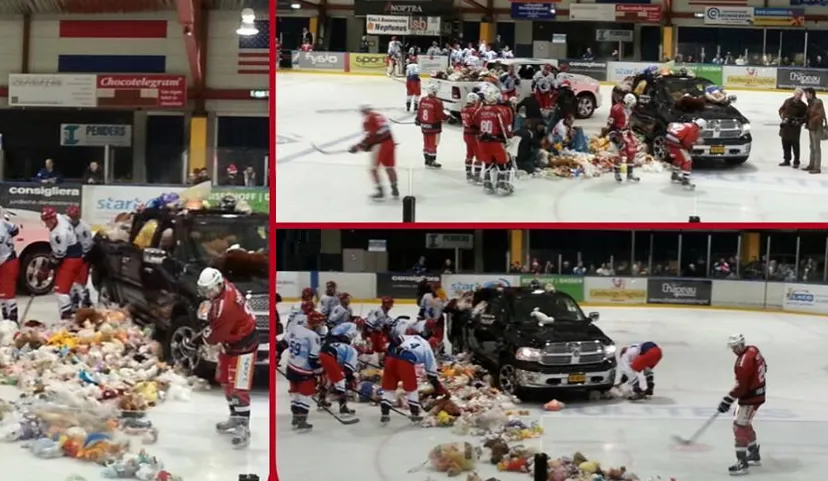 ty0l5e6ycjt2wxdpc7rzdac2o teddy bear toss