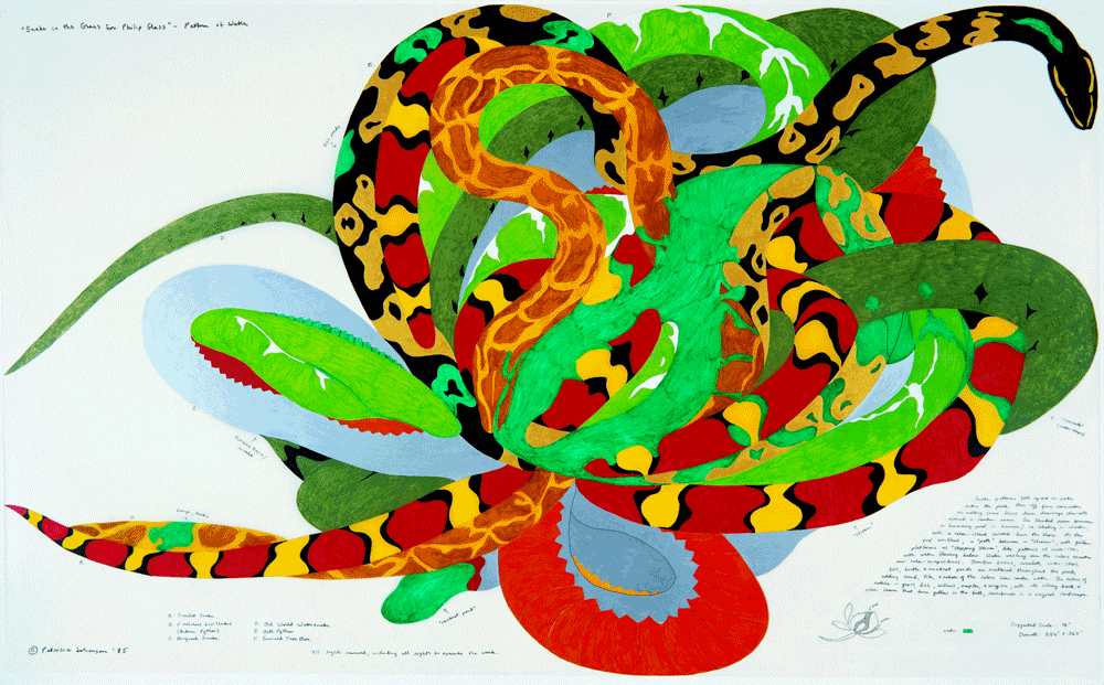 u09nz1jg8xqqe9pwyafu733la patricia johanson snake in the grass