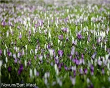 u2xam7vrirtxazv5s7nzj9u6e 223159