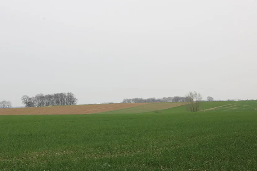 u6svmp1eily6wmdis9u91ohhg kollenberg vanaf duuster gats