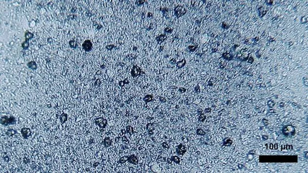 uhih9kktmeguryfxrbub812nt plastic soep