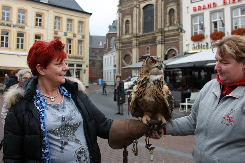 uilenhartjes oehoe 2