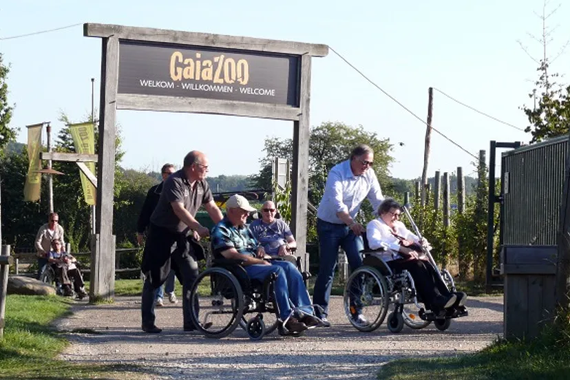 uitje zonnebloem zuidlease