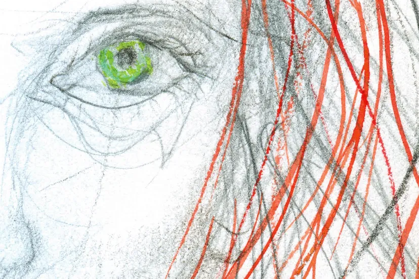 uitsnede omslag duvelsprie