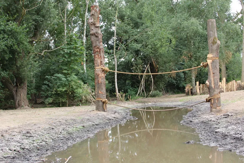 uughir08lrgf85zog8p851cvf speelbos 3 16 9