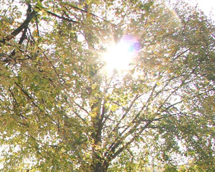 v6vpuxbdxnl51mhdczgwjvypy 102819