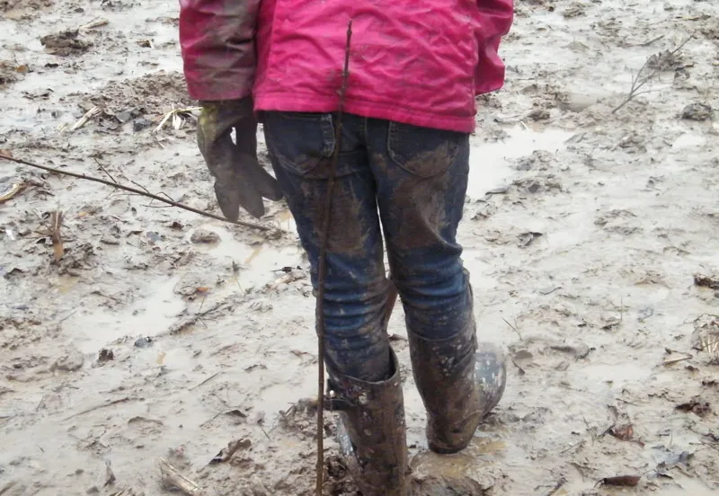 vaa57l2n30eg9ym67nl2ffl5j 219576