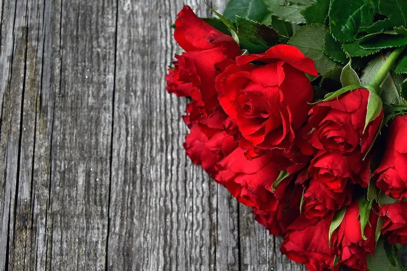 valentijnsboeket rode rozen cc0 gabor adonyi via pixabay