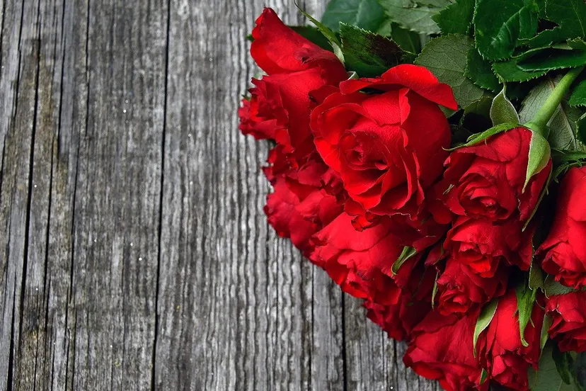 valentijnsboeket rode rozen cc0 gabor adonyi via pixabay