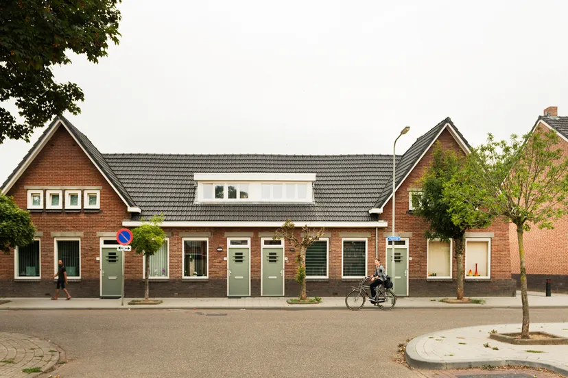 van wijnen 1a sanderbout