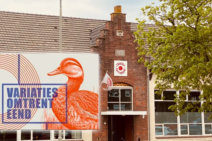 variaties omtrent eend