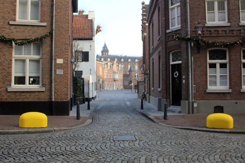 varkensruggen ontsieren aanblik historisch centrum