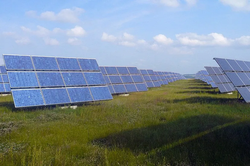 veld vol zonnepanelen