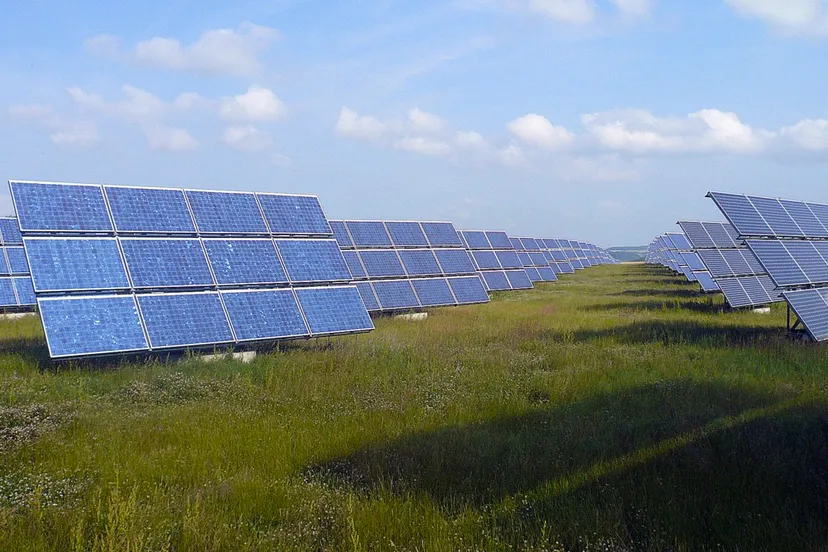 veld vol zonnepanelen