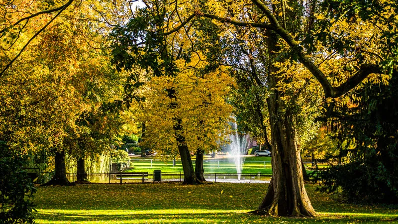 vemkscvr8lhq4na11acrhtywg stadspark golden autumn leaves 16 9