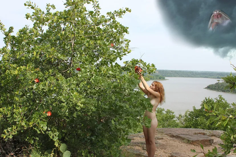 verboden vrucht garden of eden 1803805 1280