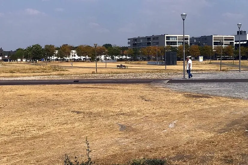 verdorde noordelijke schootsvelden sittard 24 juli 2018