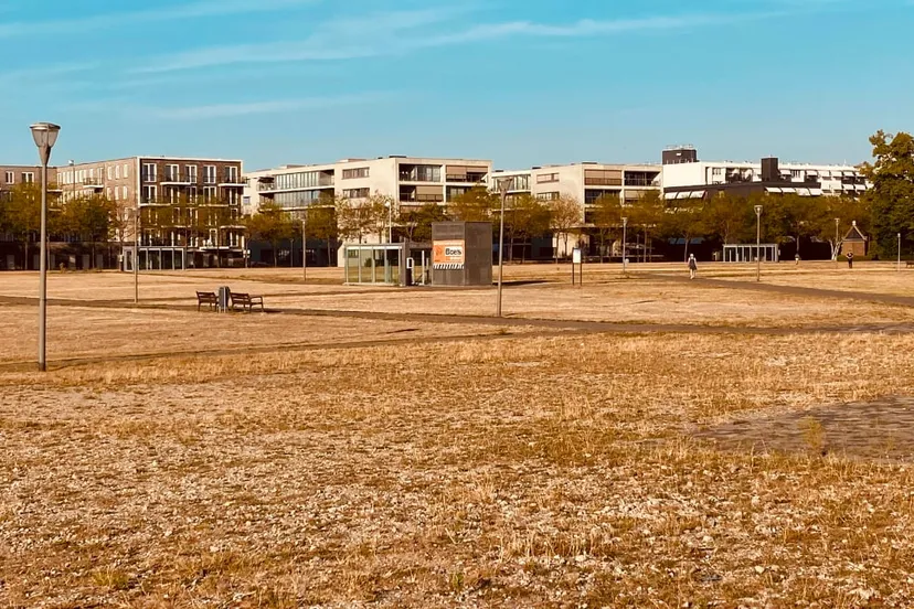 verdorde schootsvelden in sittard